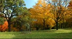 Autumnal leves 2
