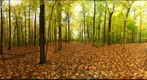 Dairy Bush GigaPan - 164 – October 17 2012 