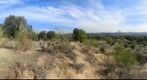 Vistas panorámicas de Madrid desde la Casa de Campo