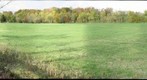 FIELD 