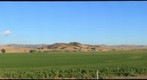 Gold Hill, Cholame Valley, California