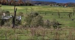 Shenandoah Farmland
