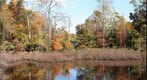 East Irvington Pond