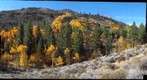Lundy Canyon