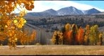 Dunderberg Groves LEFT image