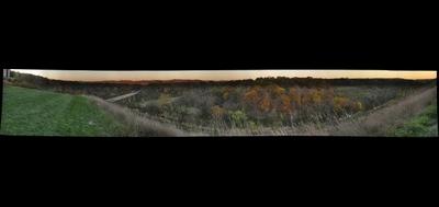 11723-400x189