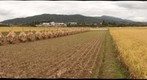 福島県:伊達郡:桑折町:蒲田:田園地帯:(10/09)