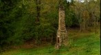 Chimney