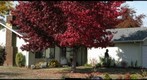 Second panarama of the Eugene OR Neals Home.