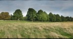 Hampton Court Palace