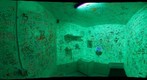 Glow in the Dark room @ the Peculiairium