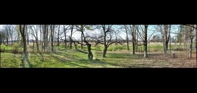 117505-400x189