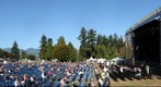 Voices in the Park