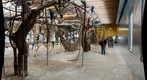 Inside Macaw Flight Building