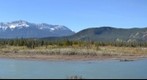 Highway to Jasper, Alberta