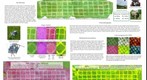 Multispectral agricultural mapping