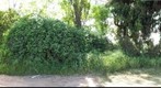 camino Rural en Puente Alto-Chile