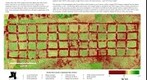 NDVI of cover crop trial