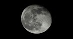 Halloween Moon