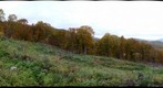 201210311533oyasu_bassaiatoti