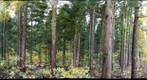 201211010827E-2