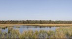 Autumn at the Leersumse Veld
