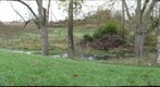 Flowing Springs