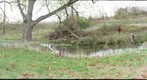 Flowing Springs Creek-2