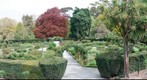 Rose Garden, Christchurch Botanical Gardens