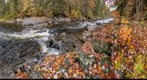 Swift Diamond River