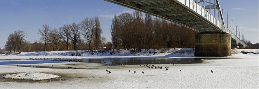 118247-900x312