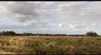 Cattle Ranch