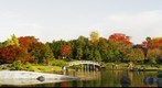 Japanese garden