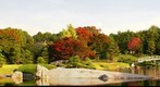 Japanese garden
