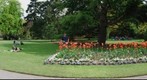 Christchurch Botanical Gardens 