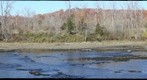 Large 180 scene of the White River