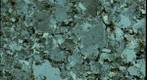 Thin Section of the Middlefield Granite, Middlefield, Massachusetts