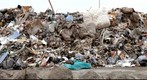 Jacob Riis Parking Lot - Temporary Dumping Site For Hurricane Sandy Debris (25,821x4,291px)