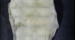 Snowball Earth Educational Rock Sample Suite P101A