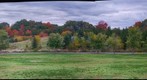 erindale park 2012