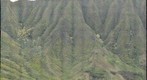 Makua_pic1