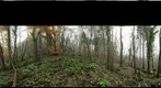 Fielsmillen