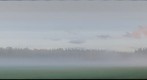 Fog