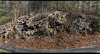 Massanutten Sandstone exposed on Fort Valley Road