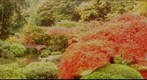 Japanese Gardens, Portland, Oregon