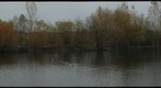 Salish Ponds 1