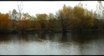 Salish Pond1.1