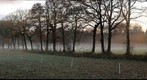 Fog 2