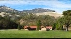 Curry Ranch
