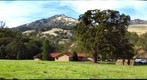 Tim's Ranch
